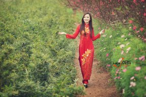 nguyenthihong1001